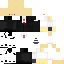 Texture for Duck