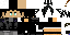 Texture for sr10