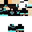 Texture for luis