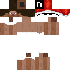 Texture for SirLeonel