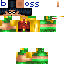 Texture for ROBIM