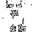 Texture for qorxu