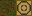 Texture for log_jungle_top