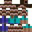 Texture for steve