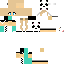 Texture for steve