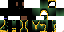 Texture for poj\