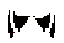Texture for Best Black Wing