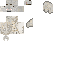 Texture for albino bat