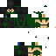 Texture for Reptile