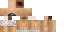 Texture for ds