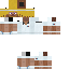 Texture for steve tenista