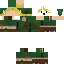 Texture for Link
