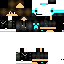Texture for Skin Zikona