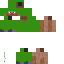 Texture for ds
