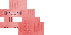 Texture for Pigper