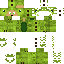 Texture for New Dino