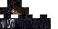 Texture for Endersteve