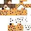 Texture for COOKIE