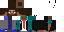 Texture for Network-Steve