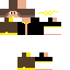 Texture for _ICE_intona