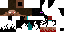 Texture for enderminator