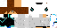 Texture for TLN