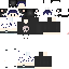 Texture for SrInspirion