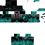 Texture for ender