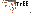 Texture for acacia treee