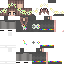 Texture for Netline Cat