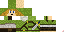 Texture for Link (Unac)