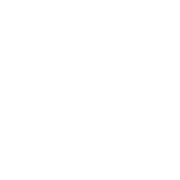 Texture for unicode_page_2c