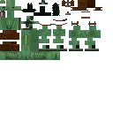 Texture for creeper donkey