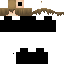 Texture for LSchneider V.2