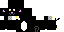 Texture for Kitty Kat