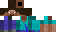 Texture for steve