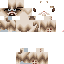 Texture for grumpy cat