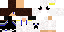 Texture for Pandachu215
