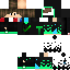 Texture for SDF