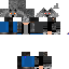 Texture for steve