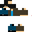 Texture for Michel