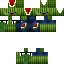 Texture for Smolidea