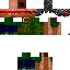 Texture for Turtwig19