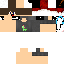 Texture for s44