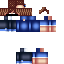 Texture for kasaiJR12