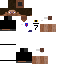 Texture for steve1colocolo