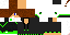Texture for New