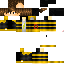 Texture for DAT_TURTLE