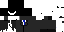 Texture for ds