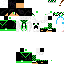 Texture for Steve